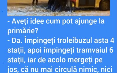 Polish_20230127_230725422