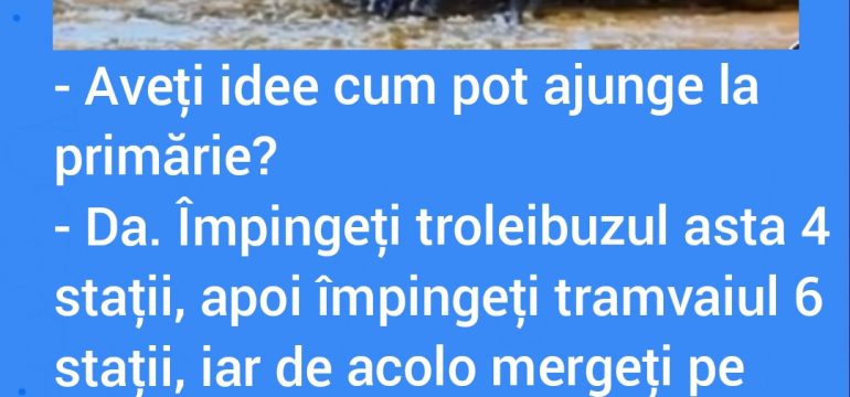 Polish_20230127_230725422