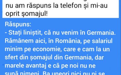 Polish_20230202_170312343