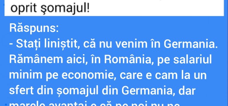 Polish_20230202_170312343