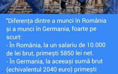Polish_20230206_103405635