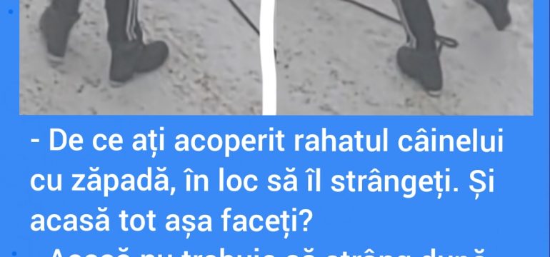 Polish_20230208_110300285