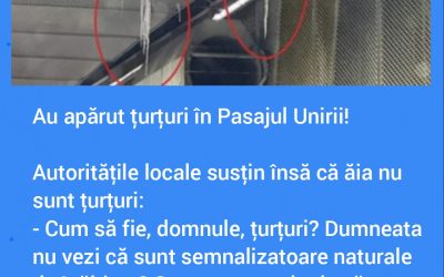 Polish_20230208_141002702