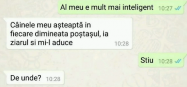 Polish_20230212_113607041