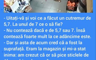 Polish_20230214_213130503
