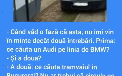 Polish_20230223_193311840