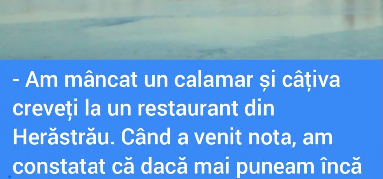 Polish_20230225_152400154