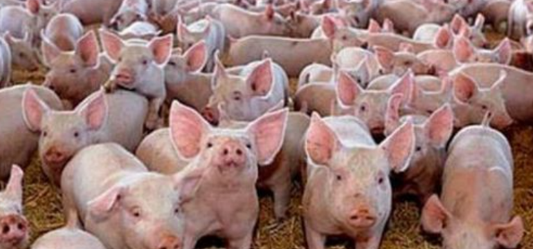 Polish_20230228_103328143