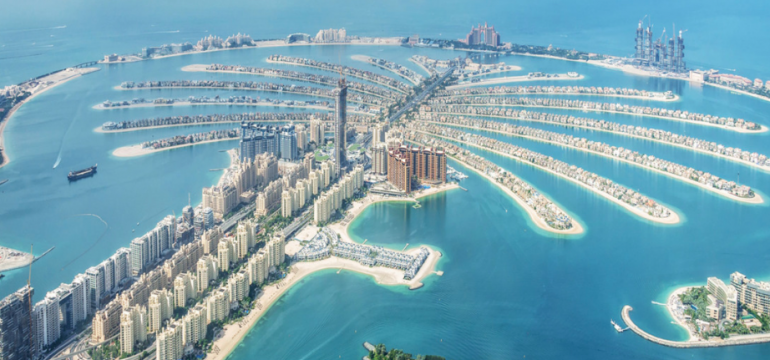 Polish_20230311_113313869