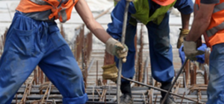 Polish_20230311_194344332