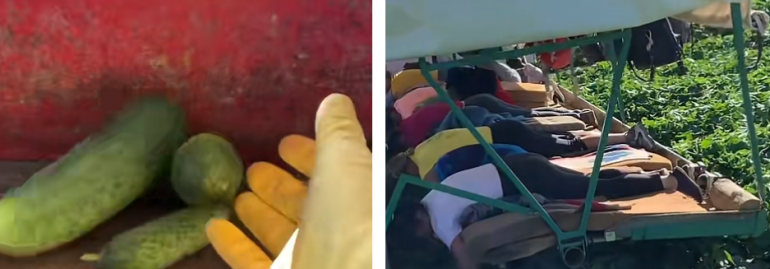 Polish_20230320_012044782