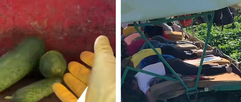 Polish_20230320_012044782