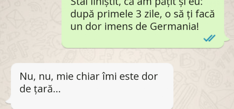 Polish_20230324_190210390