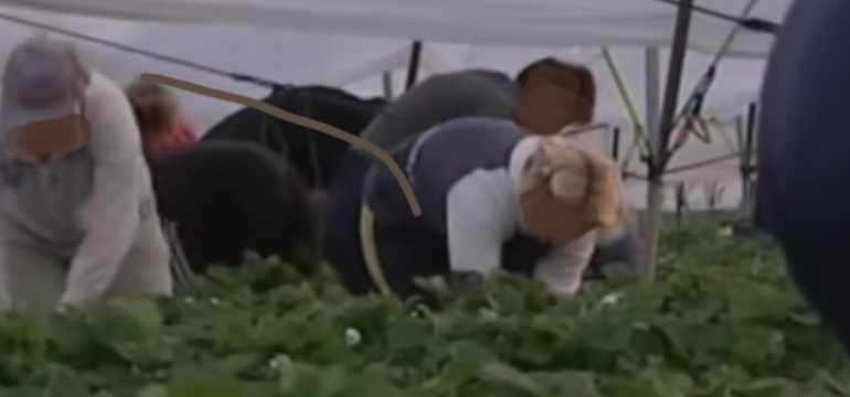 Polish_20230324_195217549