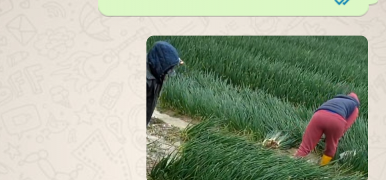 Polish_20230326_141029312