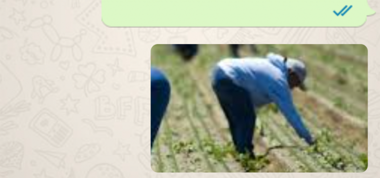 Polish_20230326_162949437