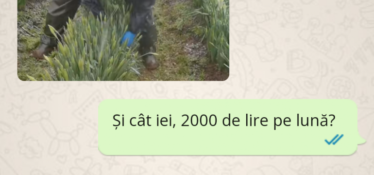 Polish_20230326_190915390