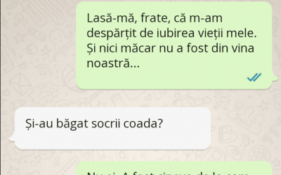 Polish_20230329_031411303
