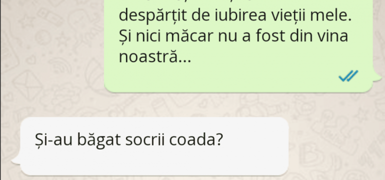 Polish_20230329_031411303