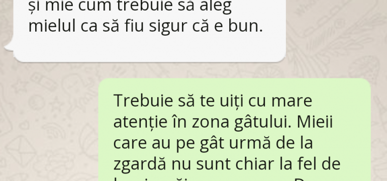 Polish_20230406_221700218