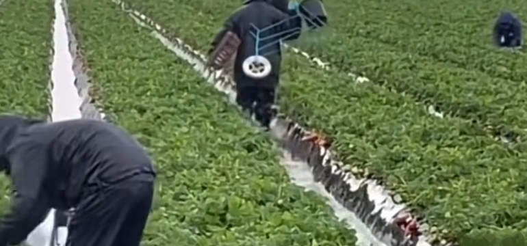 Polish_20230409_134849260