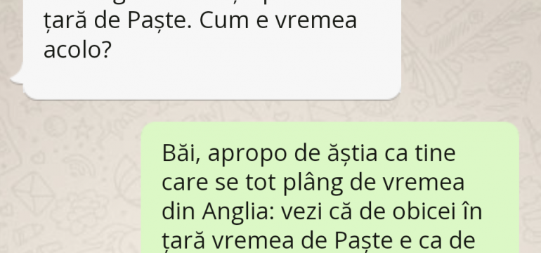 Polish_20230411_014120098