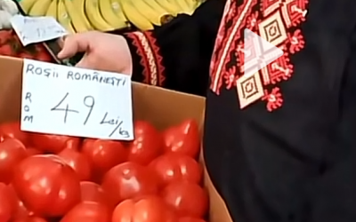 Polish_20230411_172518341