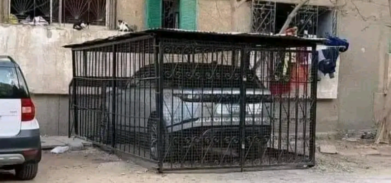 Polish_20230424_224549383