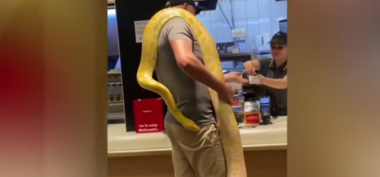 Polish_20230428_094414064