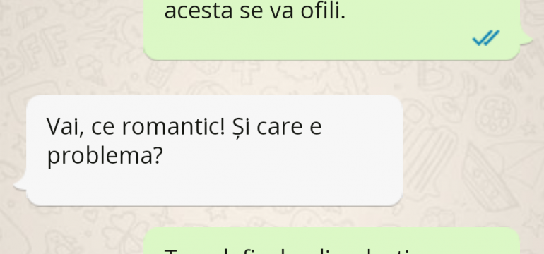 Polish_20230429_150426618