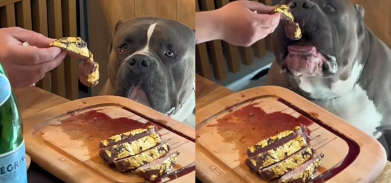 Polish_20230502_014547707