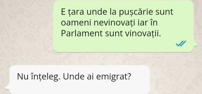 Polish_20230504_190610678