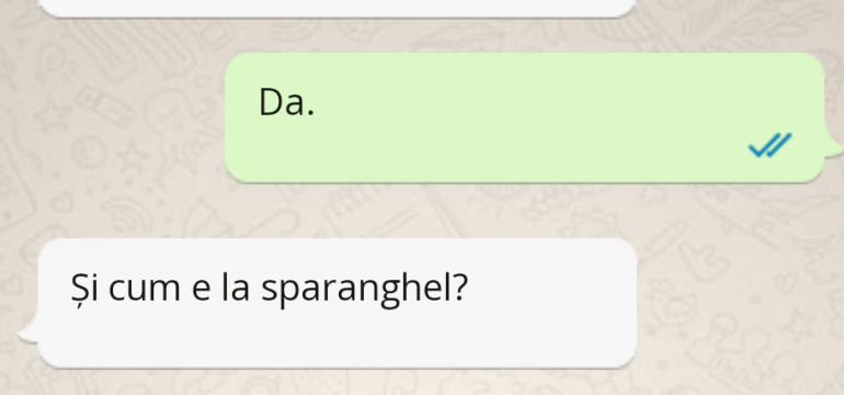 Polish_20230513_013246375