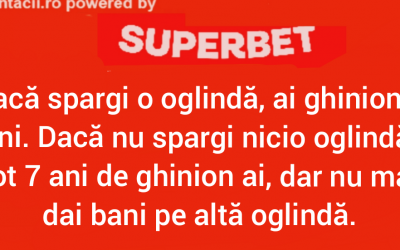 Polish_20230602_015759708