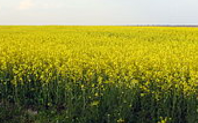 Polish_20230603_191024004