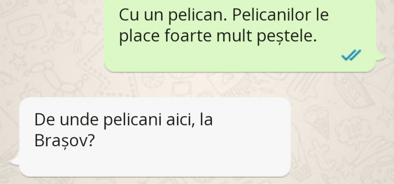 Polish_20230607_013149962