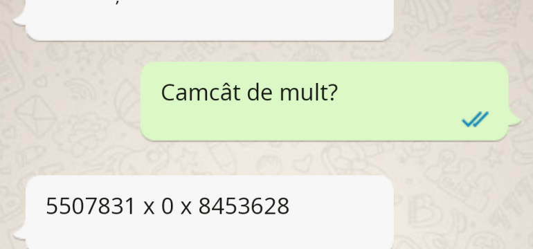 Polish_20230609_022738221