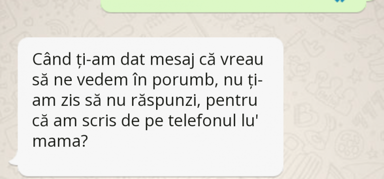 Polish_20230613_171137832