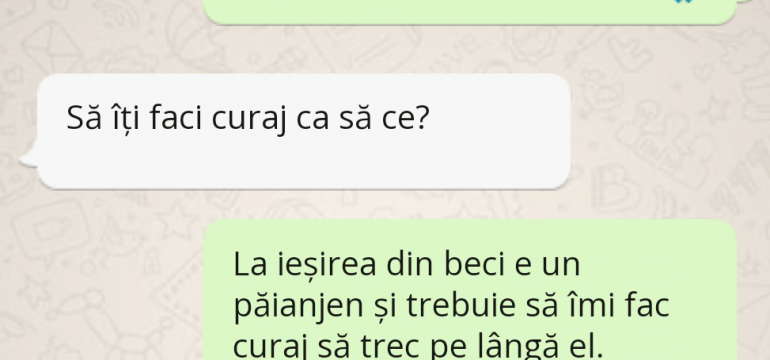 Polish_20230616_120923122