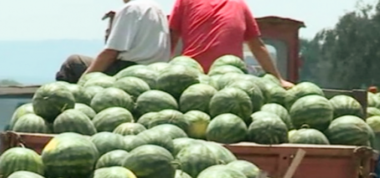 Polish_20230624_123444881