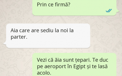 Polish_20230627_193343345