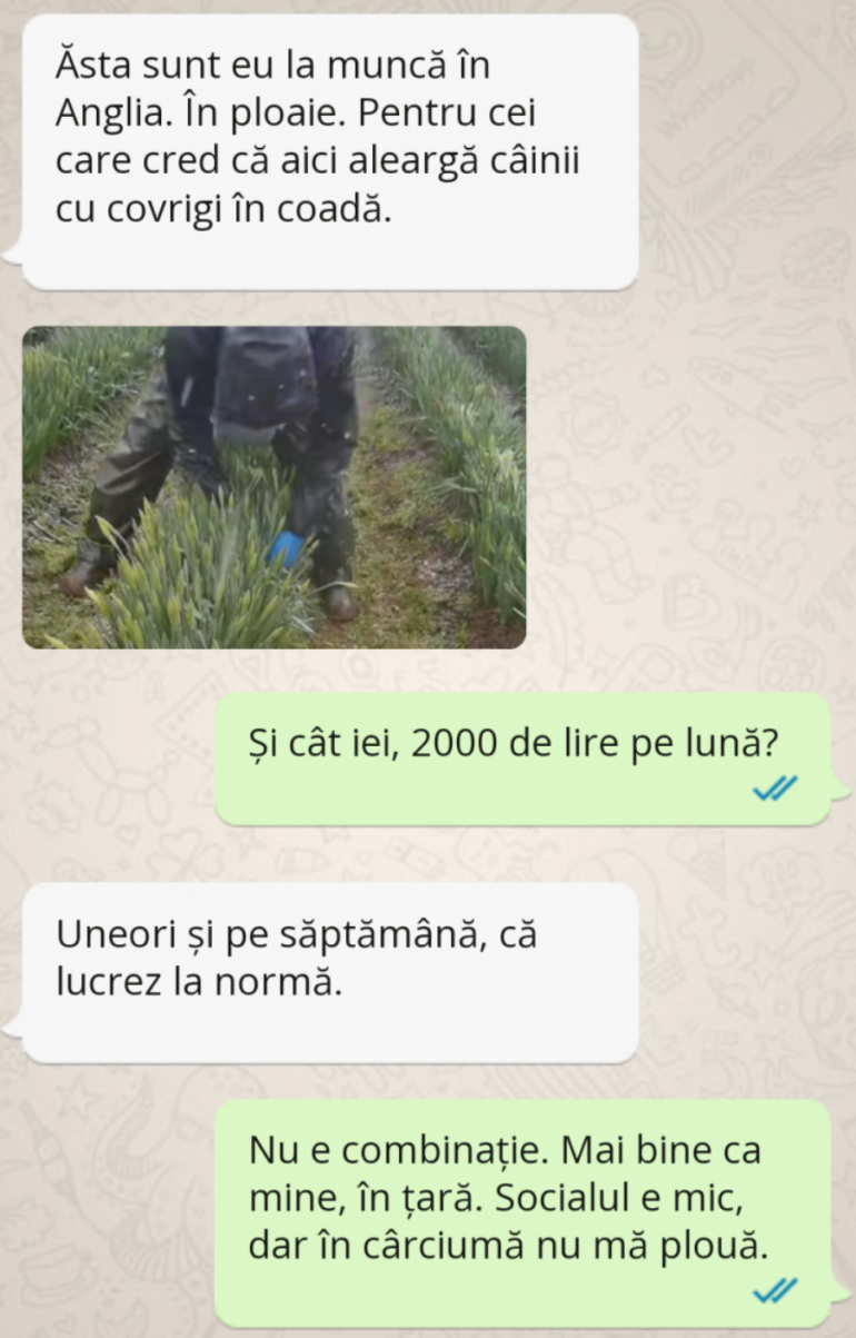 Polish_20230629_154251299