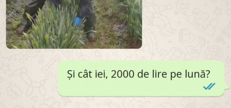 Polish_20230629_154251299