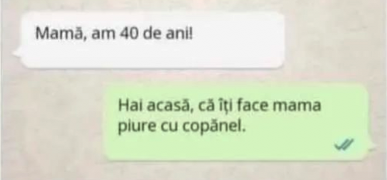 Polish_20230701_231146686