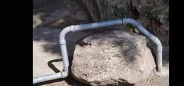 Polish_20230703_183358181