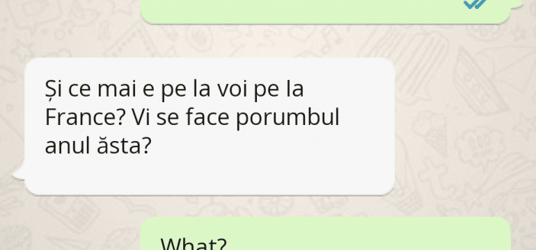 Polish_20230704_182118826