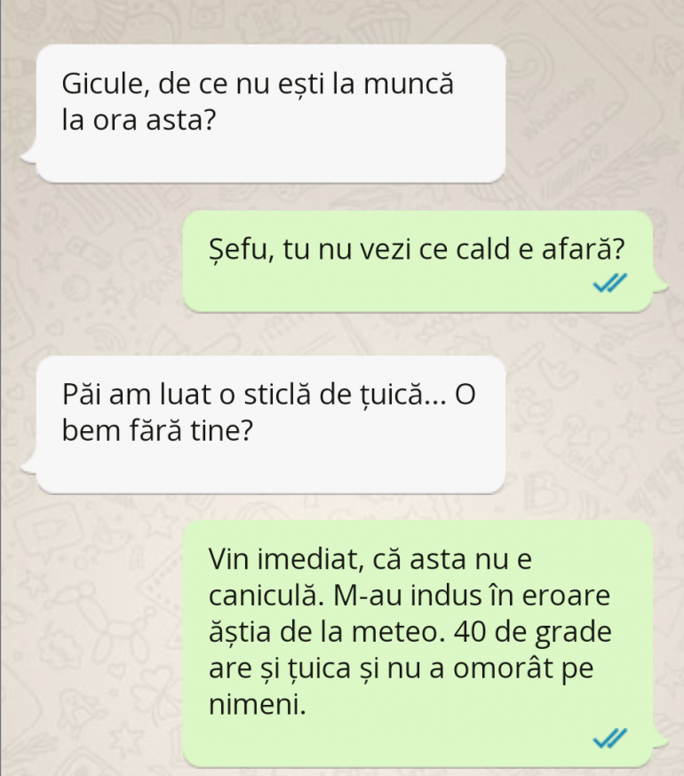 Polish_20230725_114155454