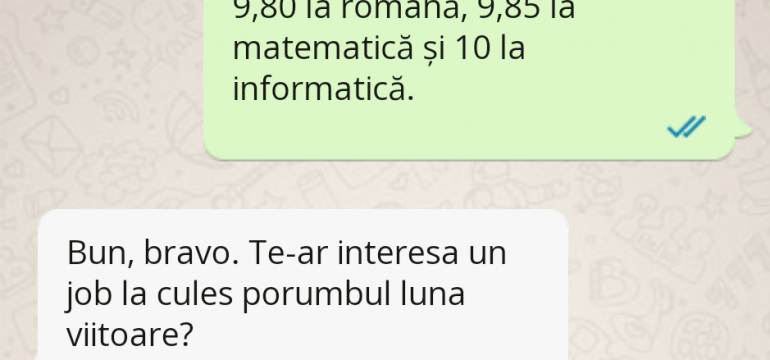 Polish_20230801_085555428