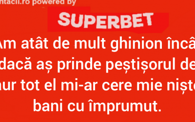 Polish_20230801_180127767