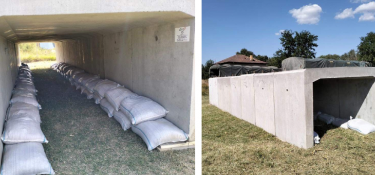 Polish_20230915_125739878